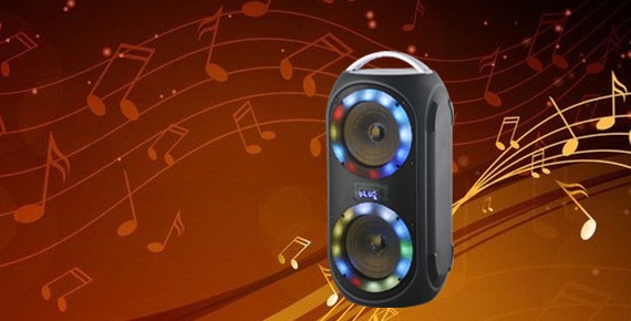 Portable Speaker