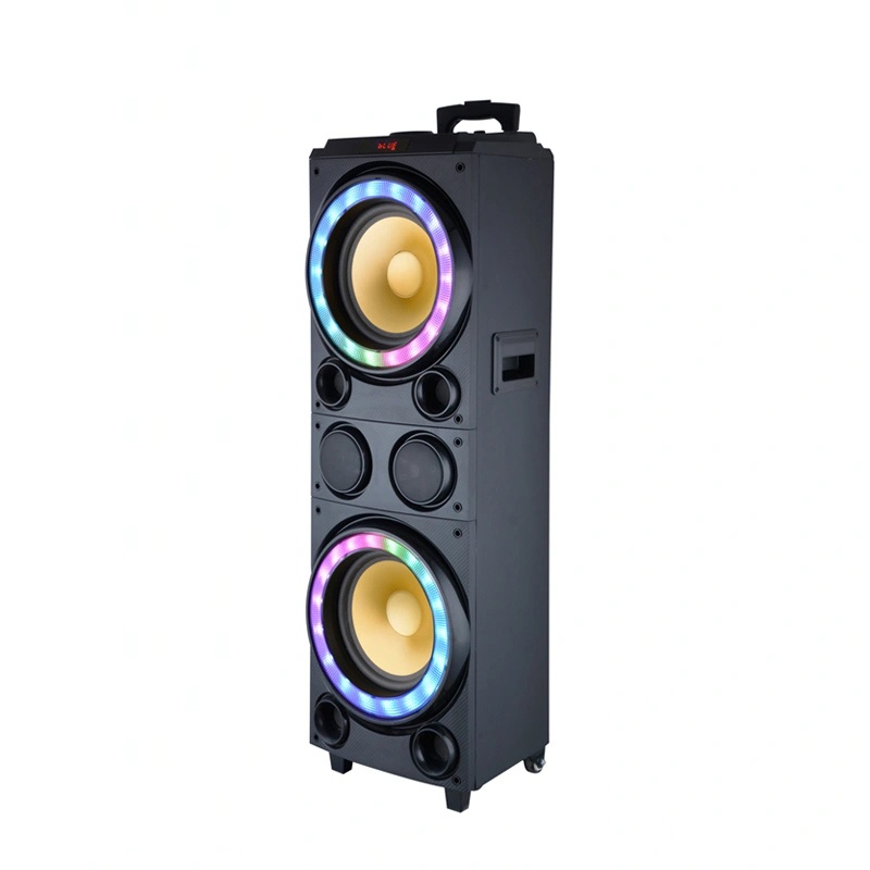Party Speaker