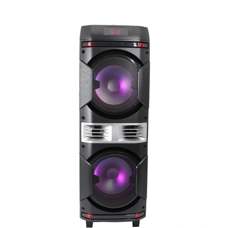 Party Speaker