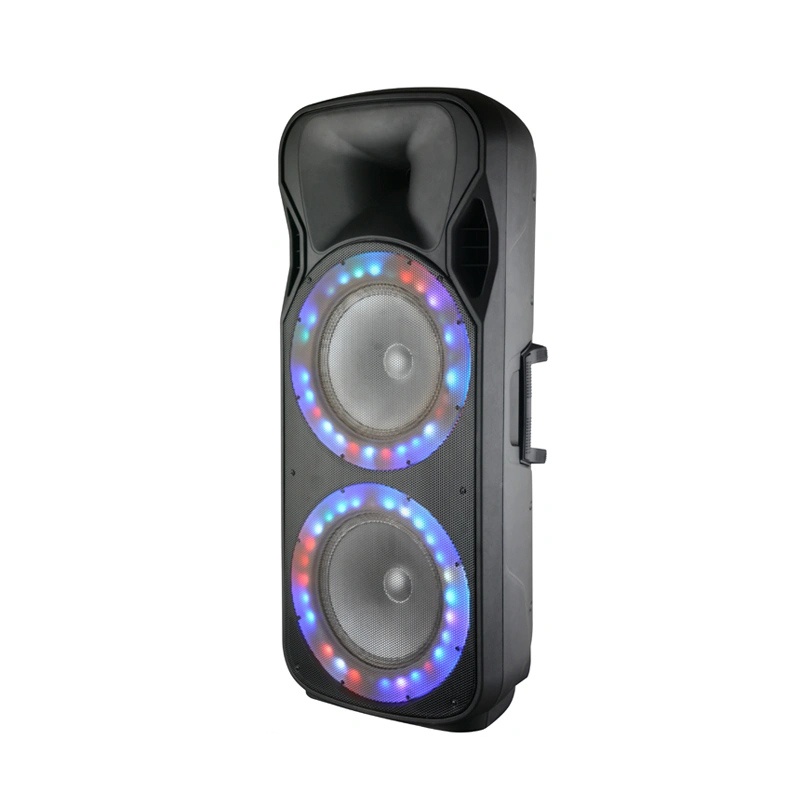 Party Speaker