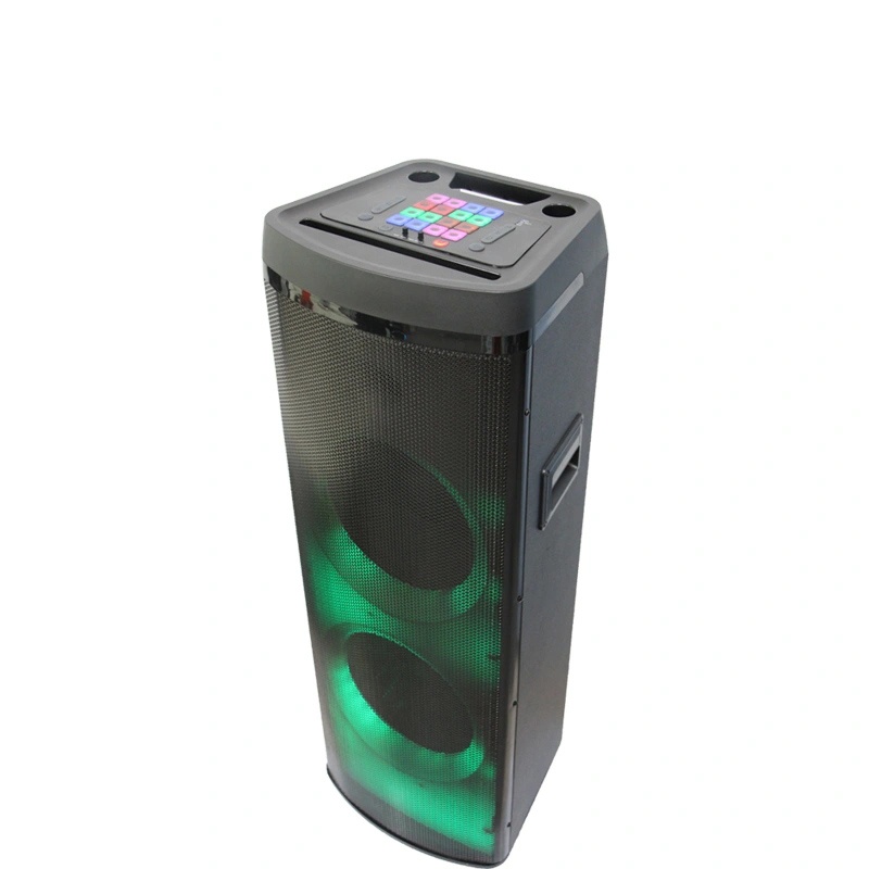 Party Speaker