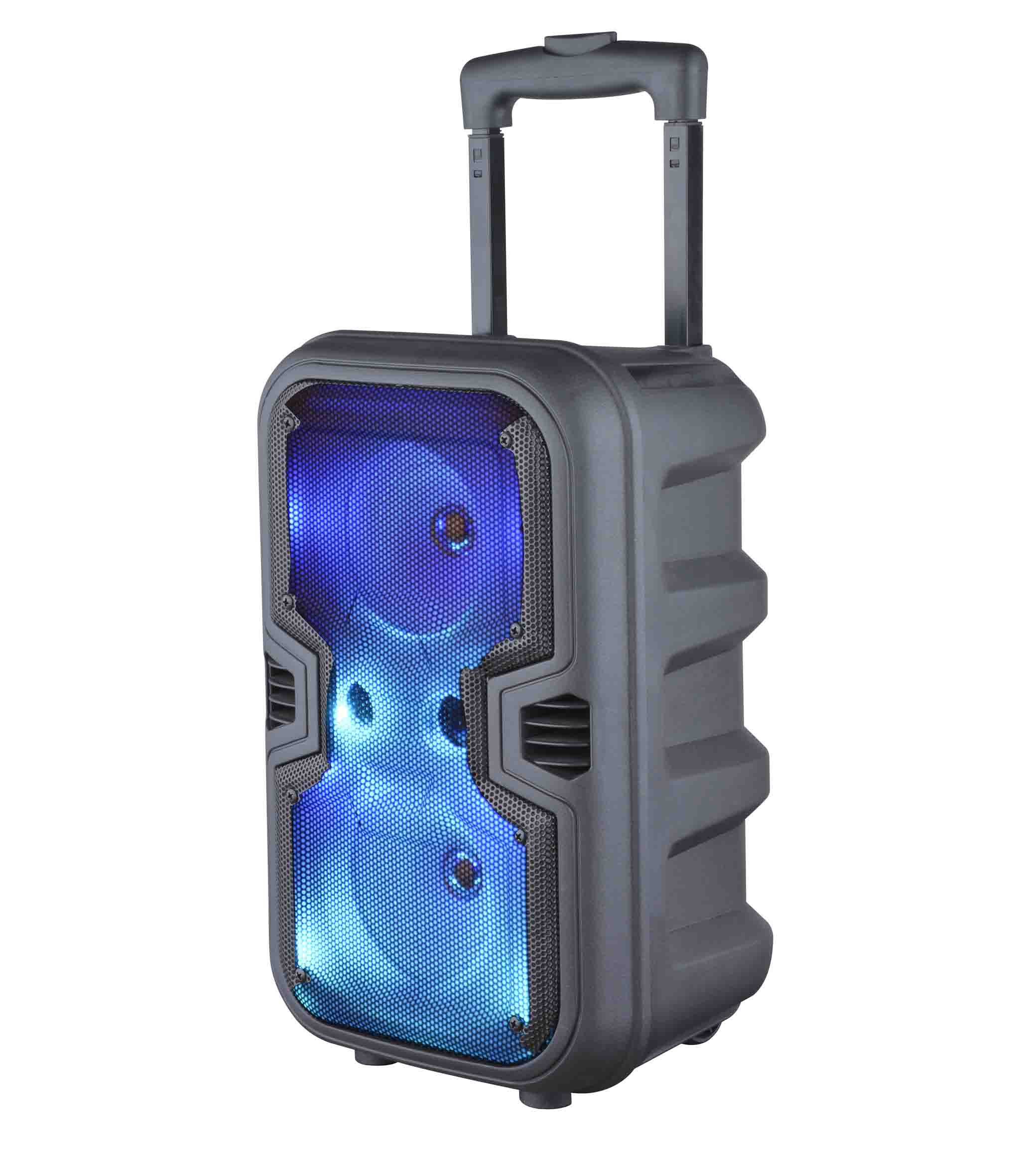 Bluetooth Speaker