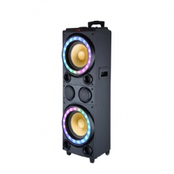 Party Speaker
