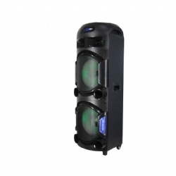 Party Speaker