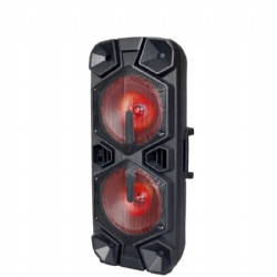 Party Speaker