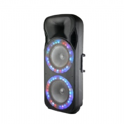 Party Speaker