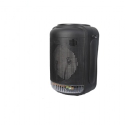 Portable Speaker